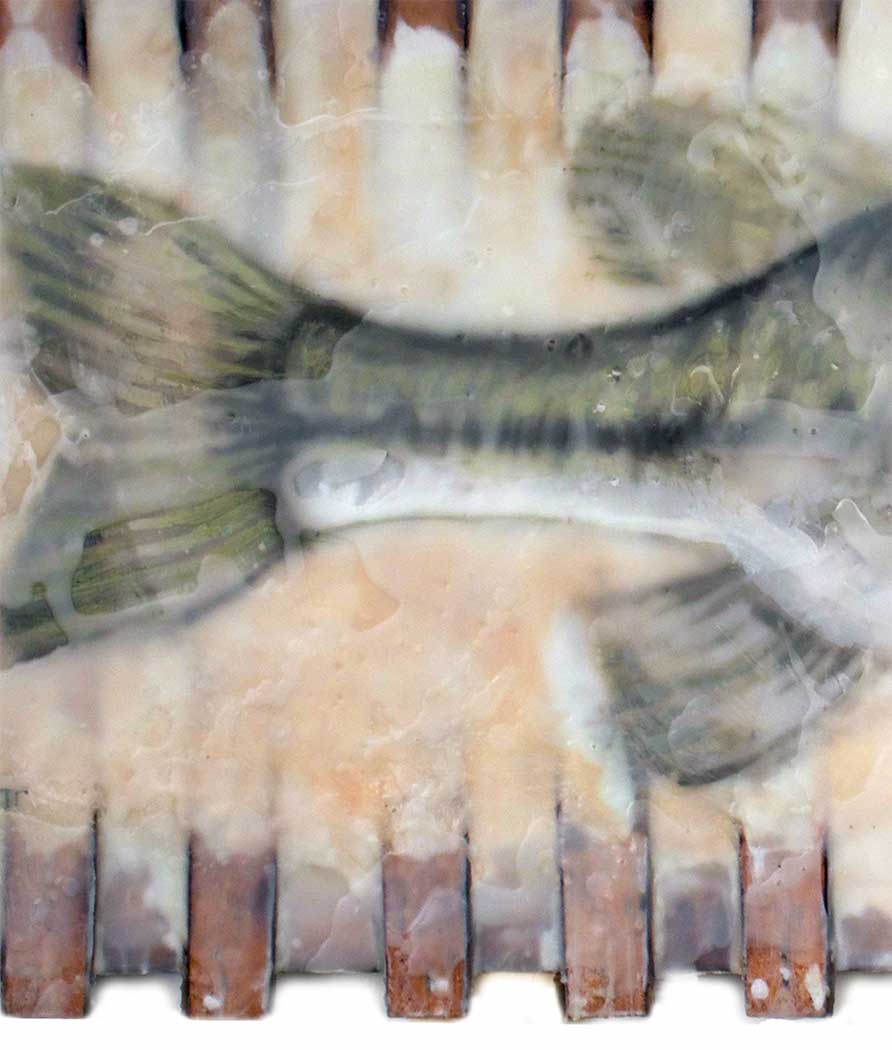 Fish in a Canoe Limited Edition Print 